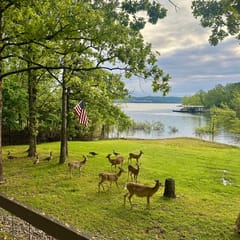 Scenic Cove Lake Front Lodge - 4 BD