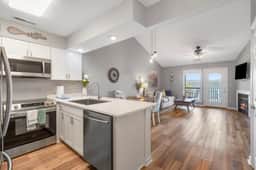 Indian Point - Condo 0510 - 1 BD | LV - Image 3