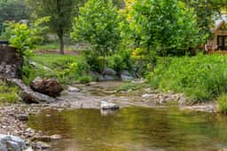Brushy Creek 3 - Murphy's Place - 1 BD - Image 4