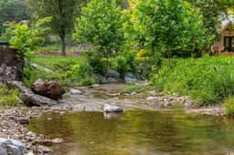 Brushy Creek 4 - The Family Hideaway - 2 BD - Image 5
