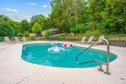 Brushy Creek - Poppy's Bear Den - 1 BD - Image 3