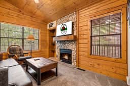 Cabins at Grand Mountain - Cabin 283 - 1 BD - Image 3