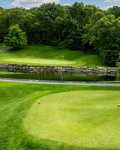 Golf course hole with manicured green, pond with stone wall, paved path, and dense forest backdrop