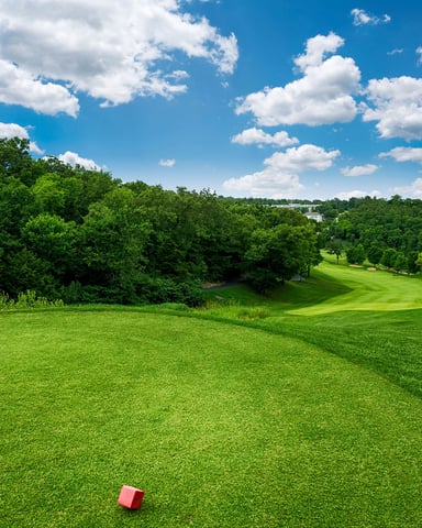 Rolling green lawn with red cube marker, dense tree line, and blue sky with white clouds