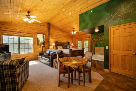 Cabins at Grand Mountain - Cabin 330 - 1 BD | PMR - Image 1