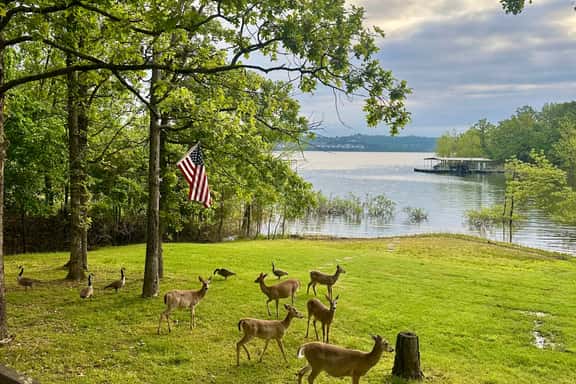 Scenic Cove Lake Front Lodge - 4 BD - Image 1