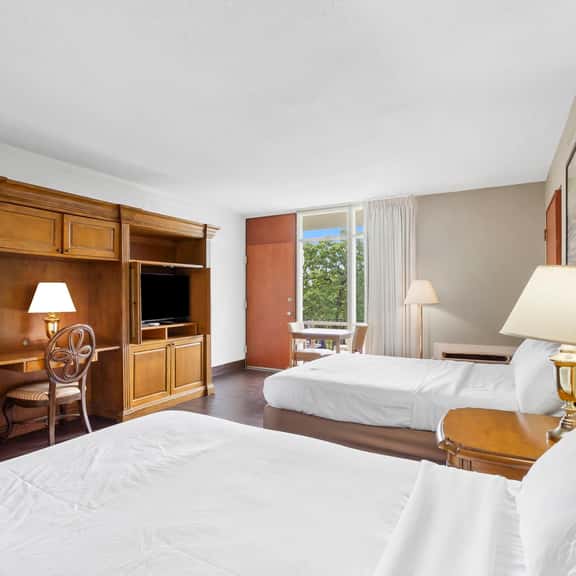 Rock Lane - Room 208 - QQ | LV - Image 1