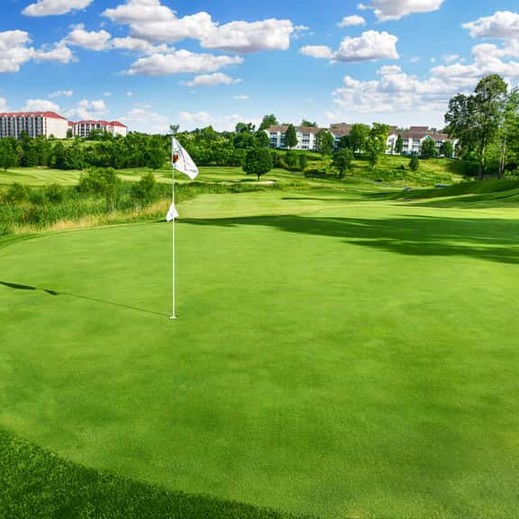 Royal Links 7-2 - 2 BD - Image 1