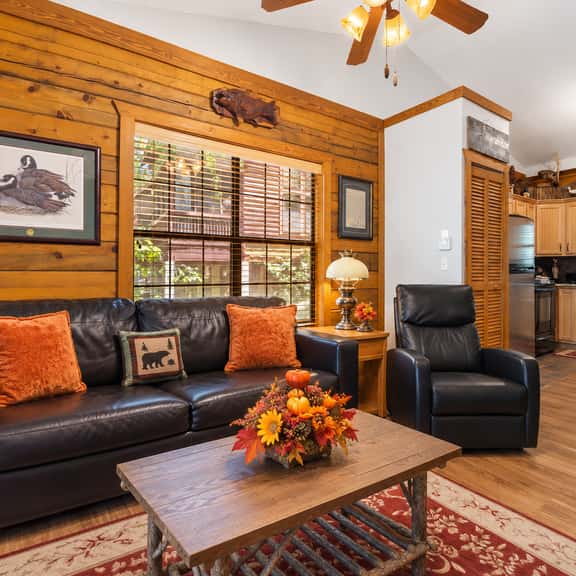 Cabins at Grand Mountain - Cabin 284 - 2 BD QQ | WK - Image 1