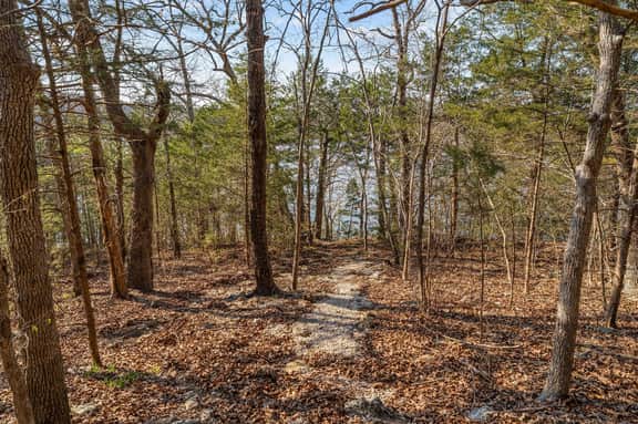 Newton Lake Lodge - 5 BD - Image 5
