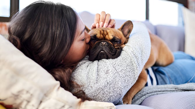 Why Are Pet-Friendly Vacation Rentals in Branson the Best Way to Travel with Your Pet?