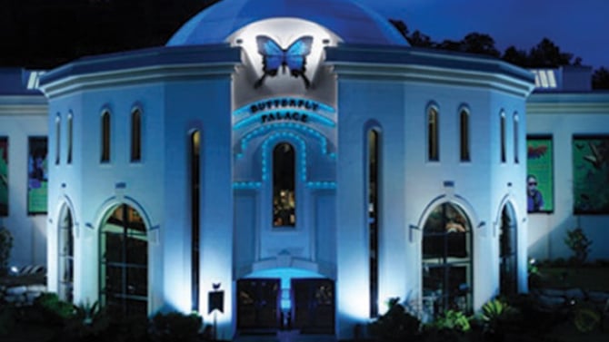 Ultimate Guide to Things to Do in Branson, Missouri
