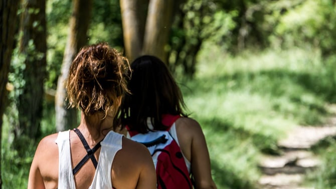 What Are the Best Hiking Trails Near Branson, Missouri?