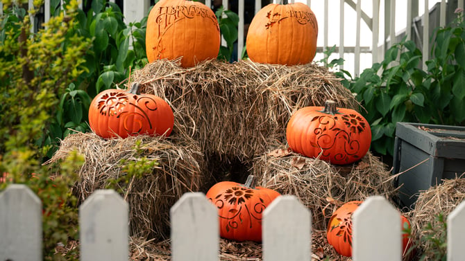 What Is Happening for Halloween in Branson, MO in 2026?