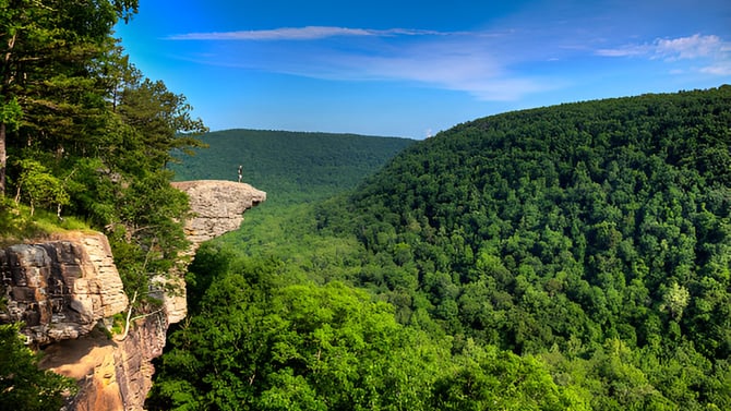 What Are the Most Unique Things to Do in Branson for 2026?