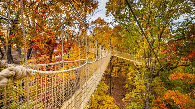 What is the Most Affordable Time of The Year to Go to Branson?