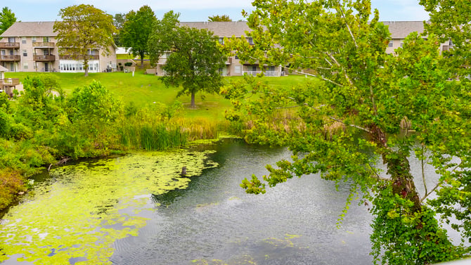 Fall Creek Vacation Rentals in Branson