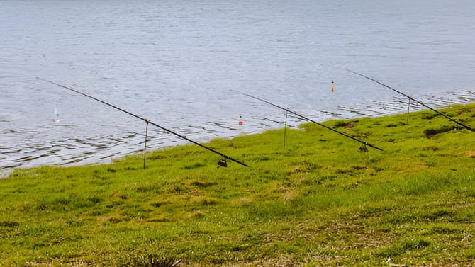 How Good Is the Fishing on Table Rock Lake Near Branson, Missouri?