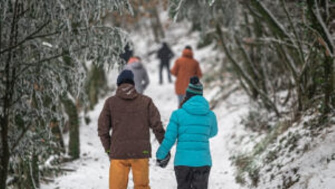 Winter Wonders: Attractions to Experience in Branson